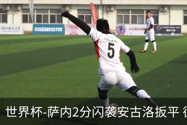 世界杯-萨内2分闪袭安古洛扳平 德国半场1-1厄瓜多尔